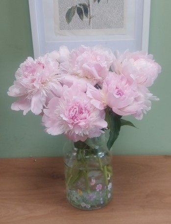 OUT OF STOCK TILL TUESDAY Simply Peonies (vase not included)