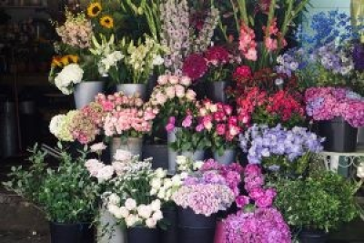 A year of flowers - A perfect choice for a special birthday or anniversary. Spoil your loved one with a years worth of flowers. Every month on your chosen day the recipient will receive £20, £30 or £40 worth of seasonal flowers carefully wrapped in our eco wrap ready for them to arrange into a vase. A great way to show your loved one you care throughout the year.