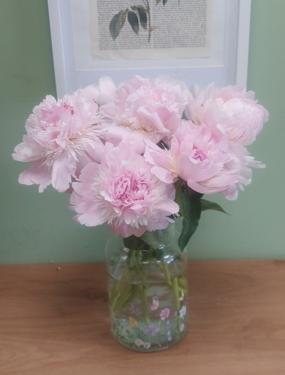 Simply Peonies (vase not included) - Seasonal peonies order today for same day delivery in Whitley bay by The Garden Shop Florist