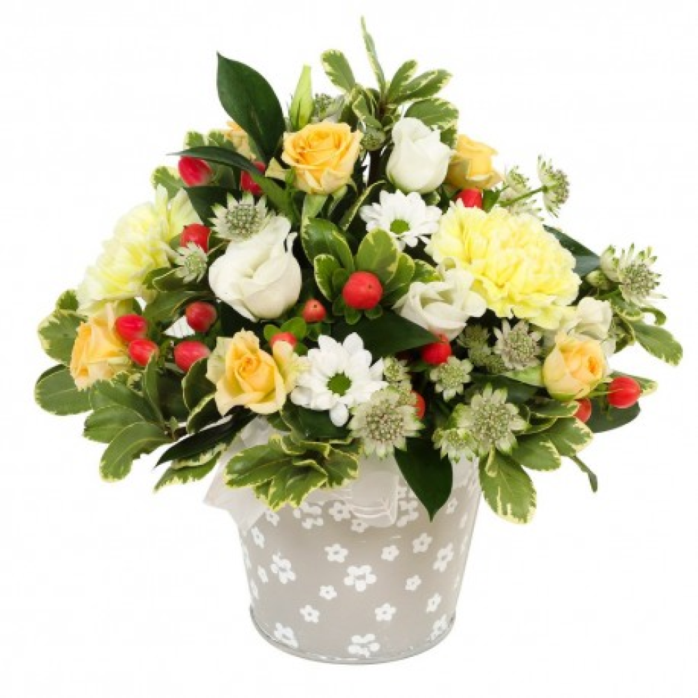A New Day arrangement